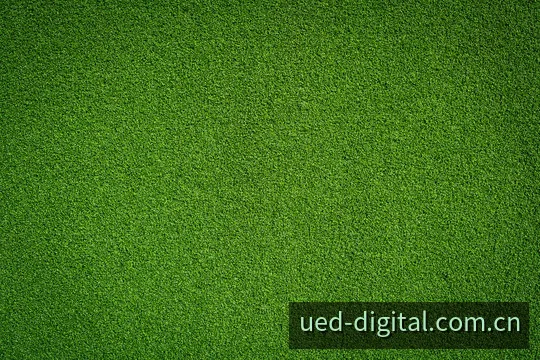 UED APP 竞技视界直击